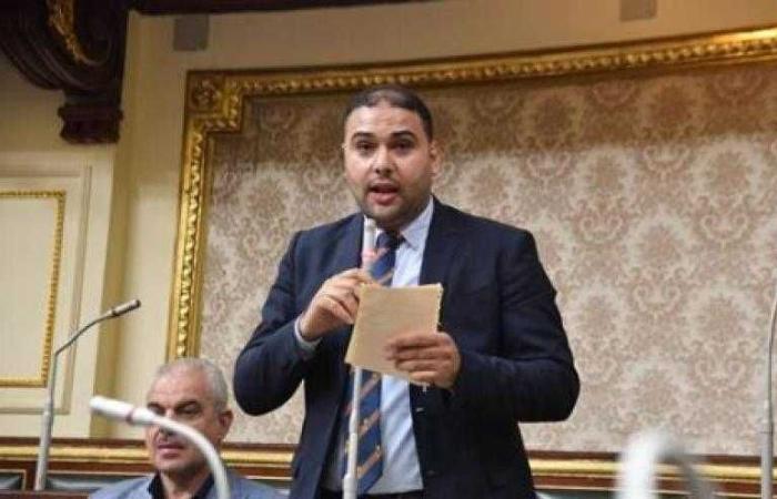 برلماني: كثرة الشائعات تؤكد حجم المؤامرات على الدولة المصرية