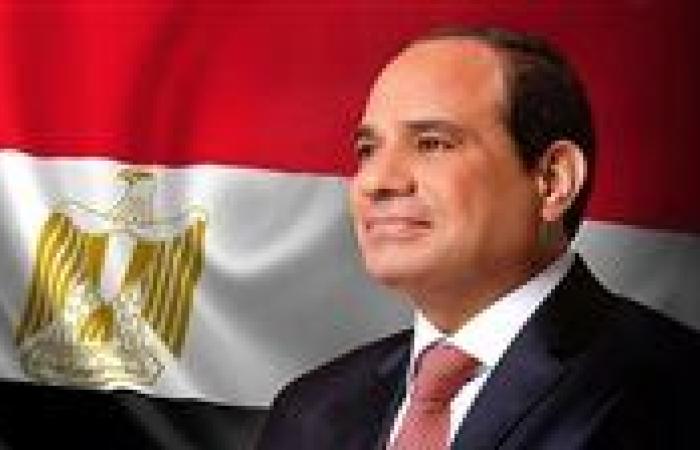 السيسي: نقدر تطلع "شركاء كوبنهاجن" لتوسيع استثماراتها في مصر