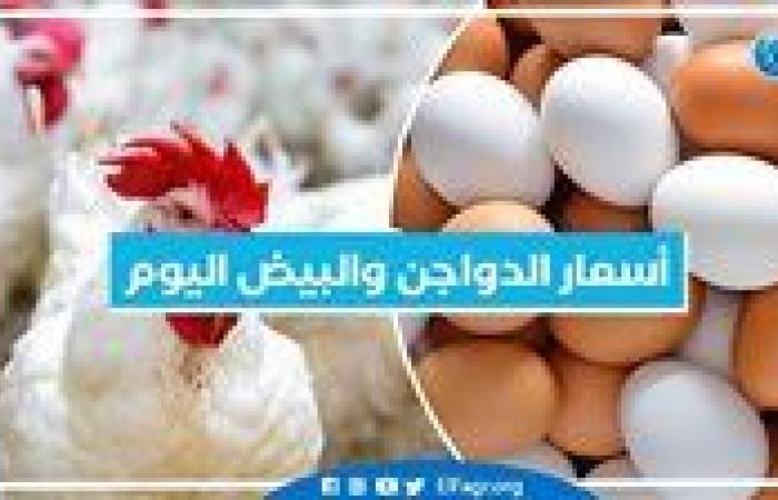 أسعار الدواجن والبيض اليوم الثلاثاء 17-12-2024 بمحافظة البحيرة